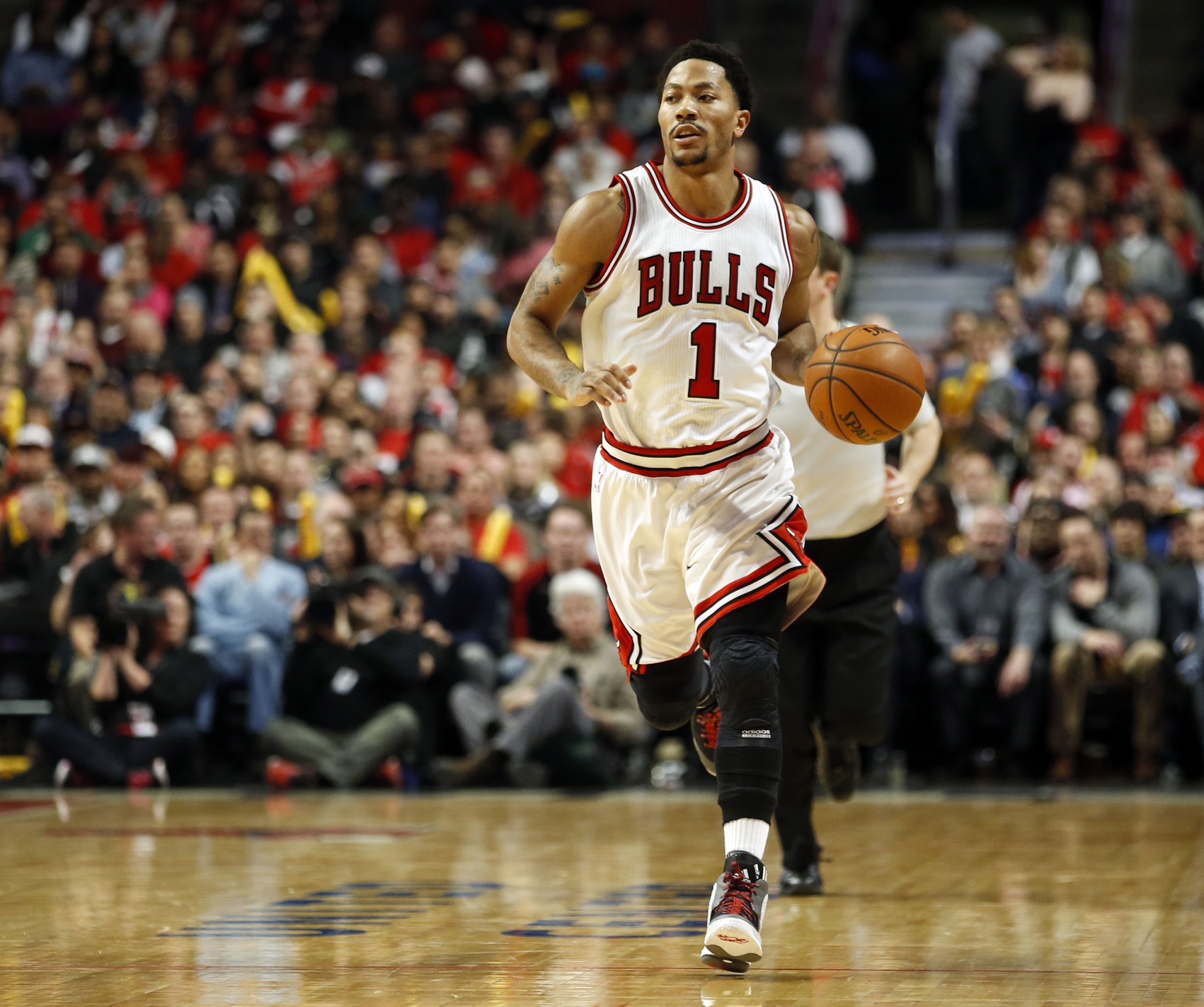 Derrick Rose, Chicago Bulls