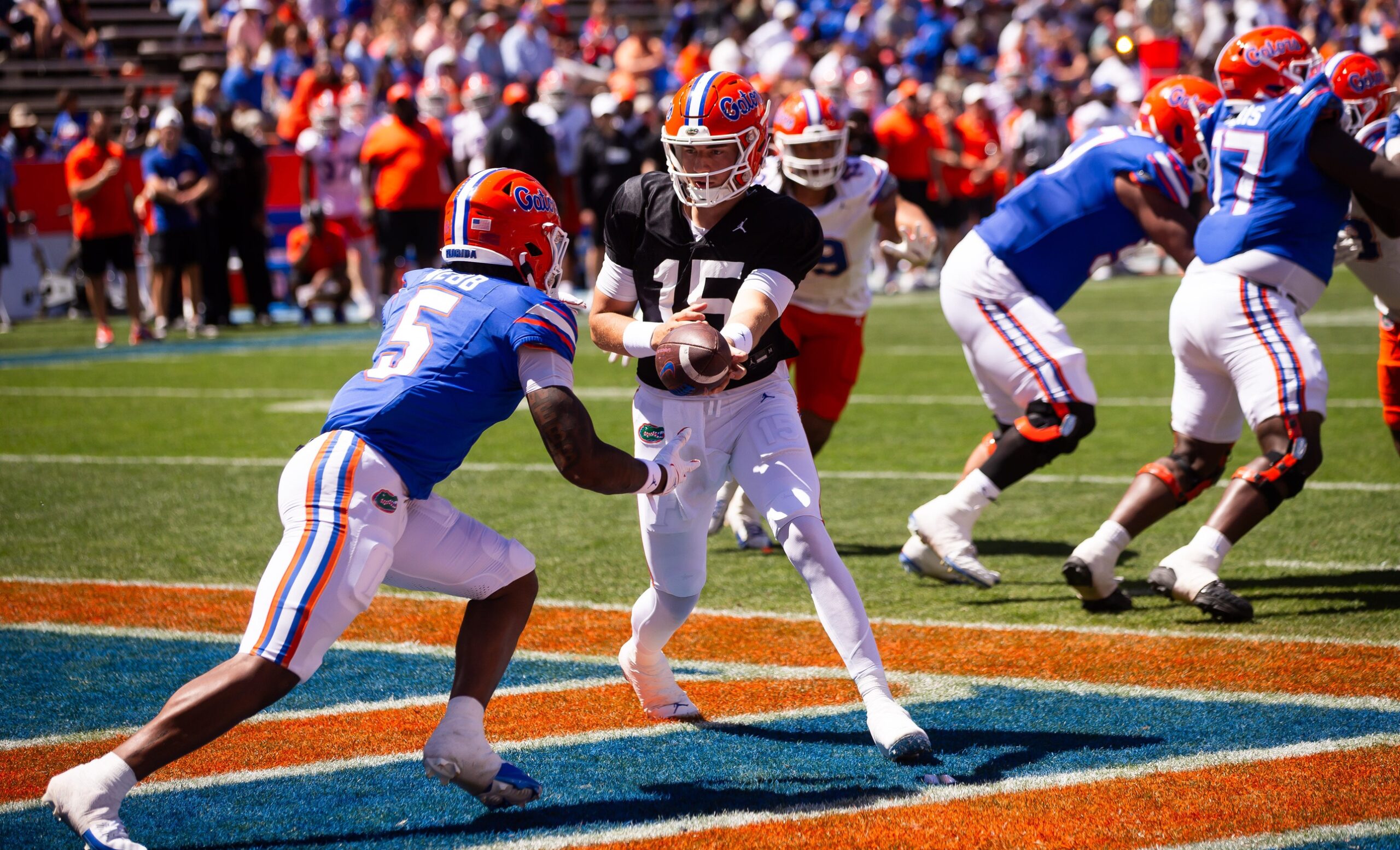 Gators Showed Promise