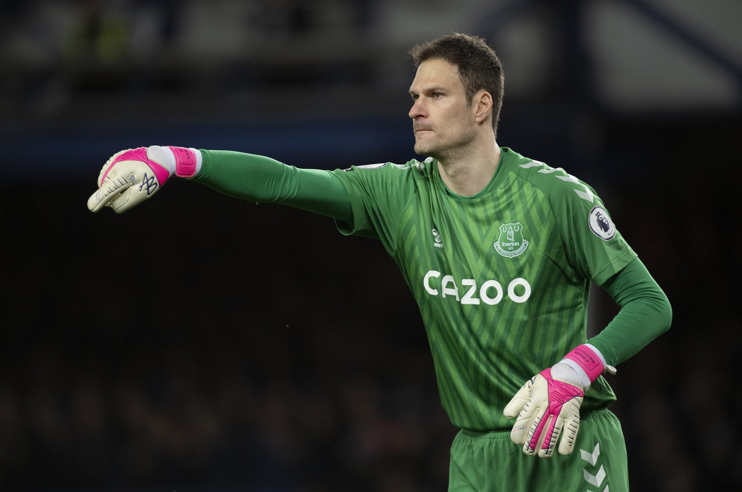 Asmir Begovic