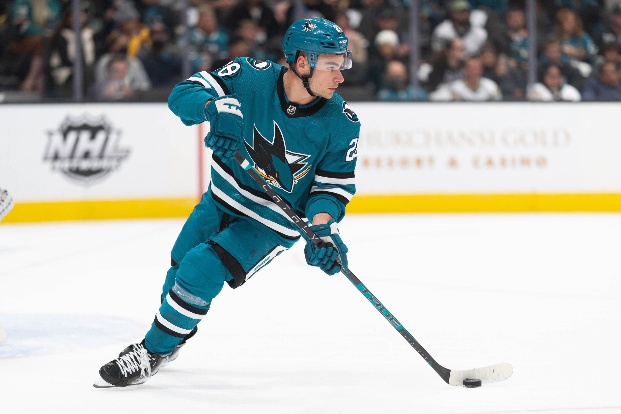 Timo Meier Trade