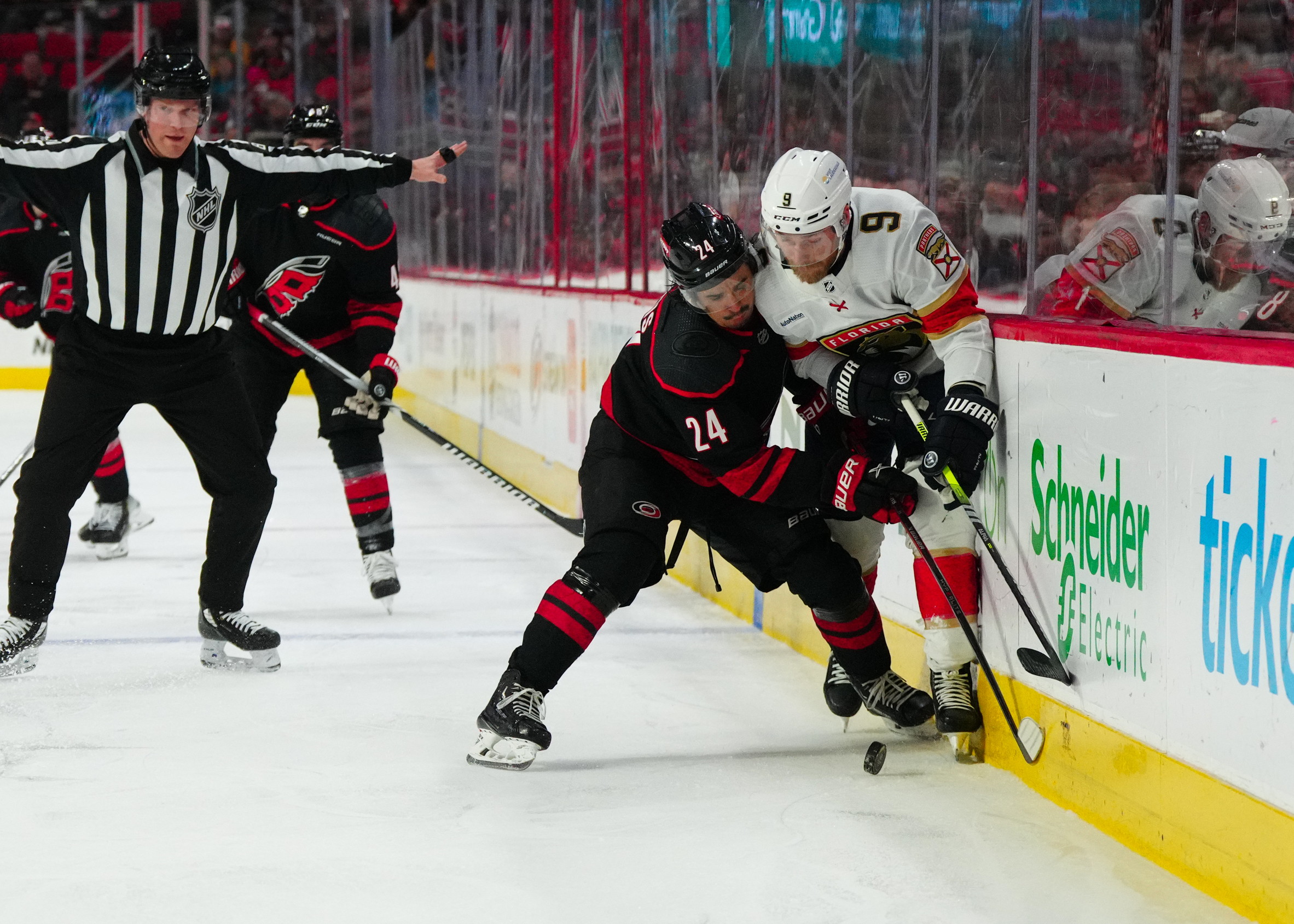 Carolina Hurricanes predictions