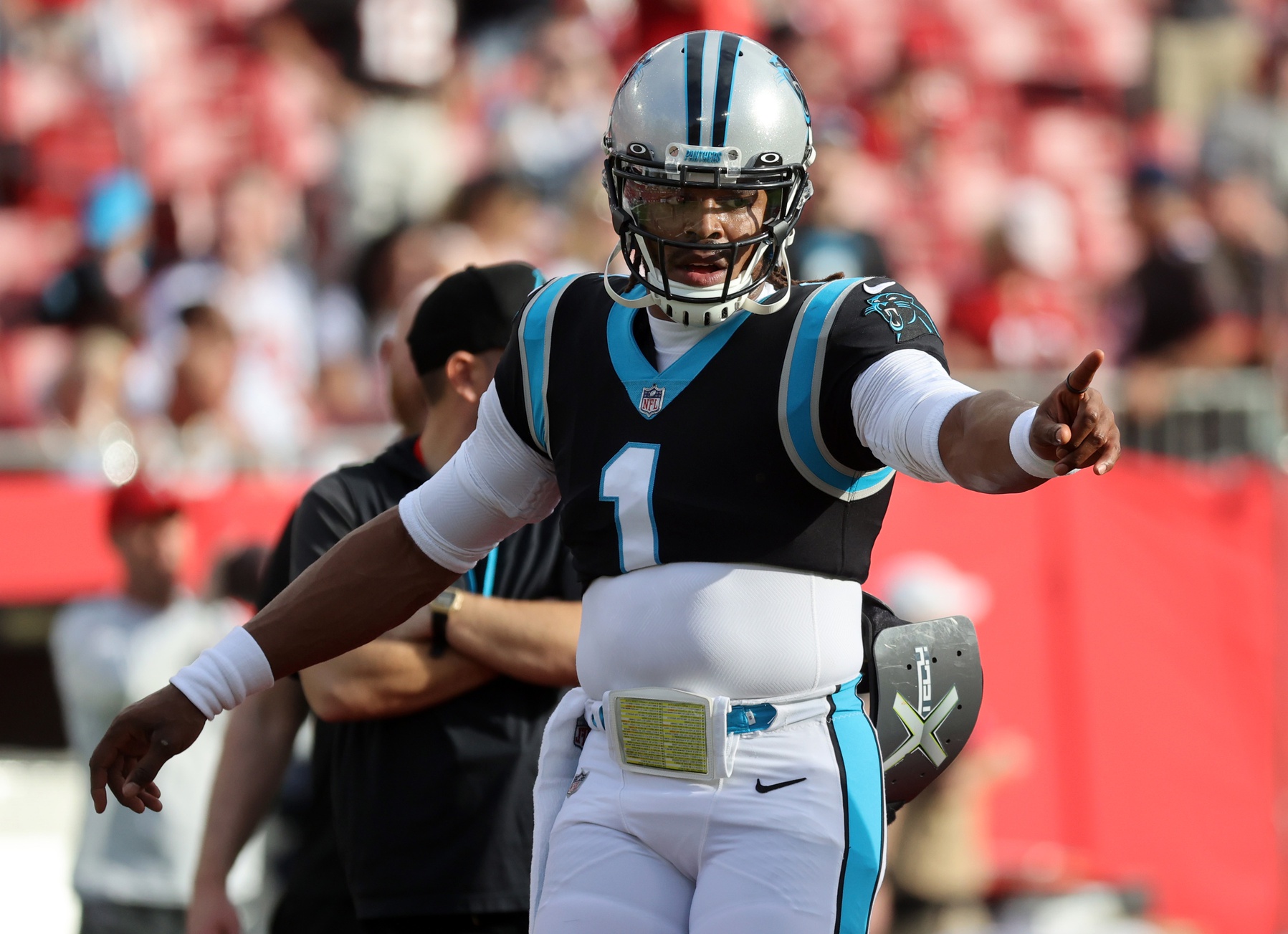 Top Ten Carolina Panthers