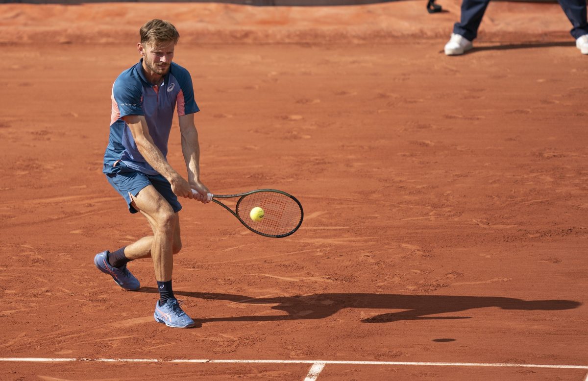 David Goffin French Open